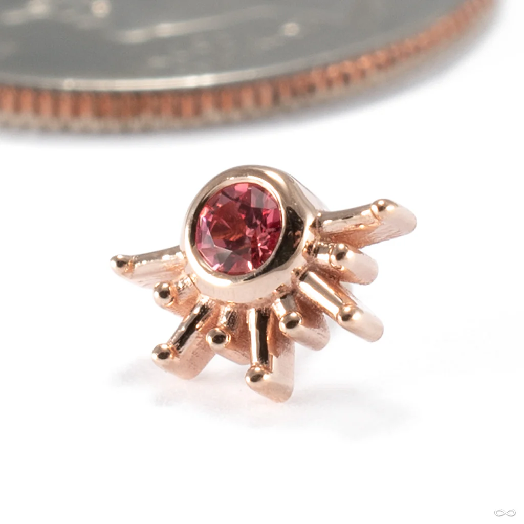 Live To Tell Press-fit End in Gold from BVLA - Image 2