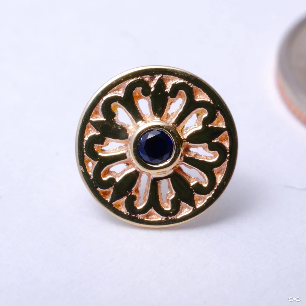 Maira Press-fit End in Gold from BVLA - Image 2