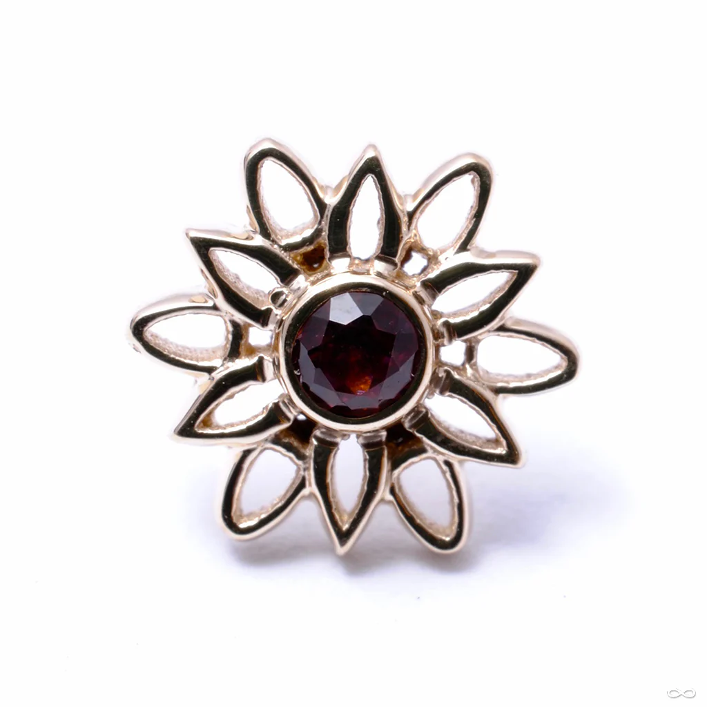 Marisol Press-fit End in Gold from BVLA - Image 3