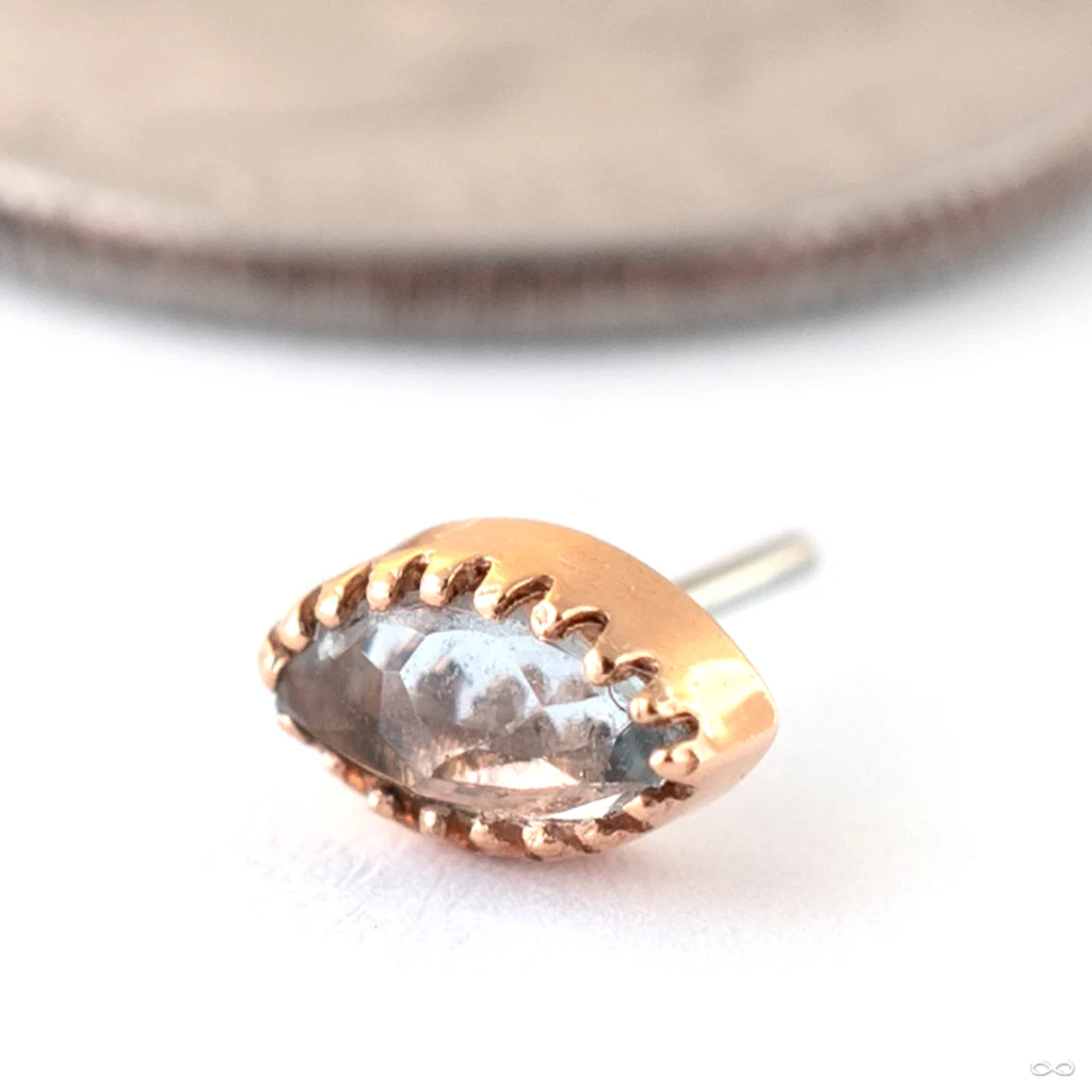 Marquis Scalloped Press-fit End in Gold from Tawapa - Image 2