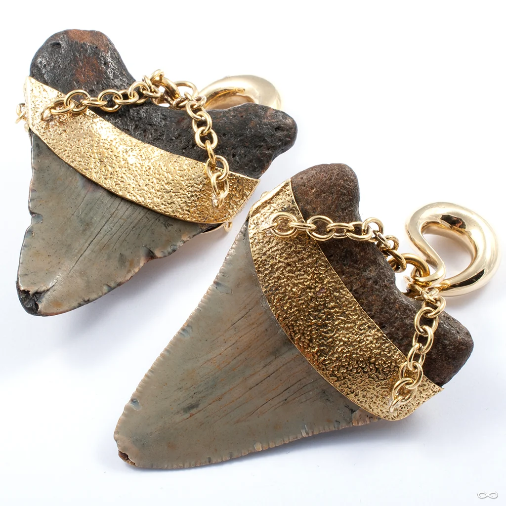 Megalodon Teeth with Laguna Agate and Brass Coils from Diablo Organics - Image 3