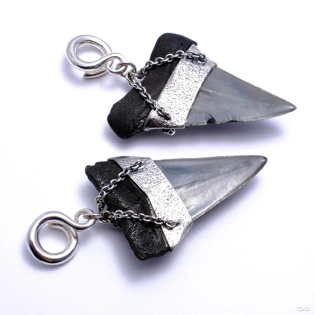 Megalodon Teeth with Opal from Diablo Organics - Image 3