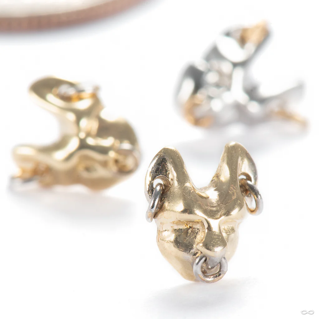 Mew Mew Press-fit End in Gold from Pupil Hall