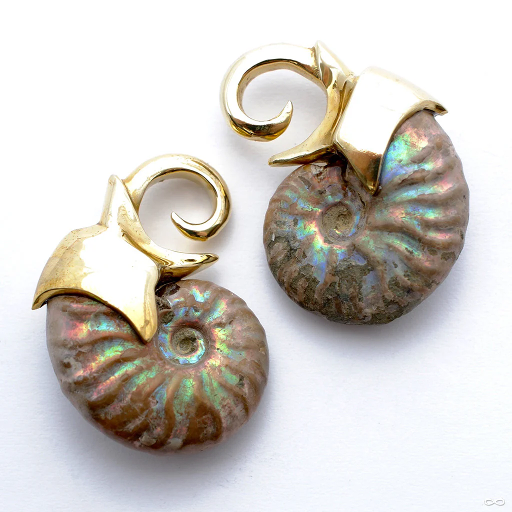Mini Ammonite Weights from Quetzalli - Image 3