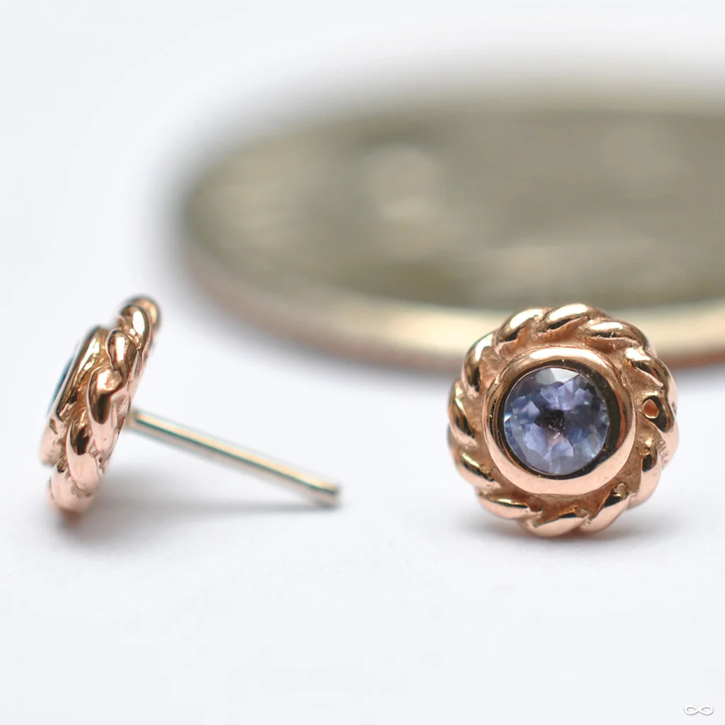 Mini Choctaw Press-fit End in Gold from BVLA - Image 7