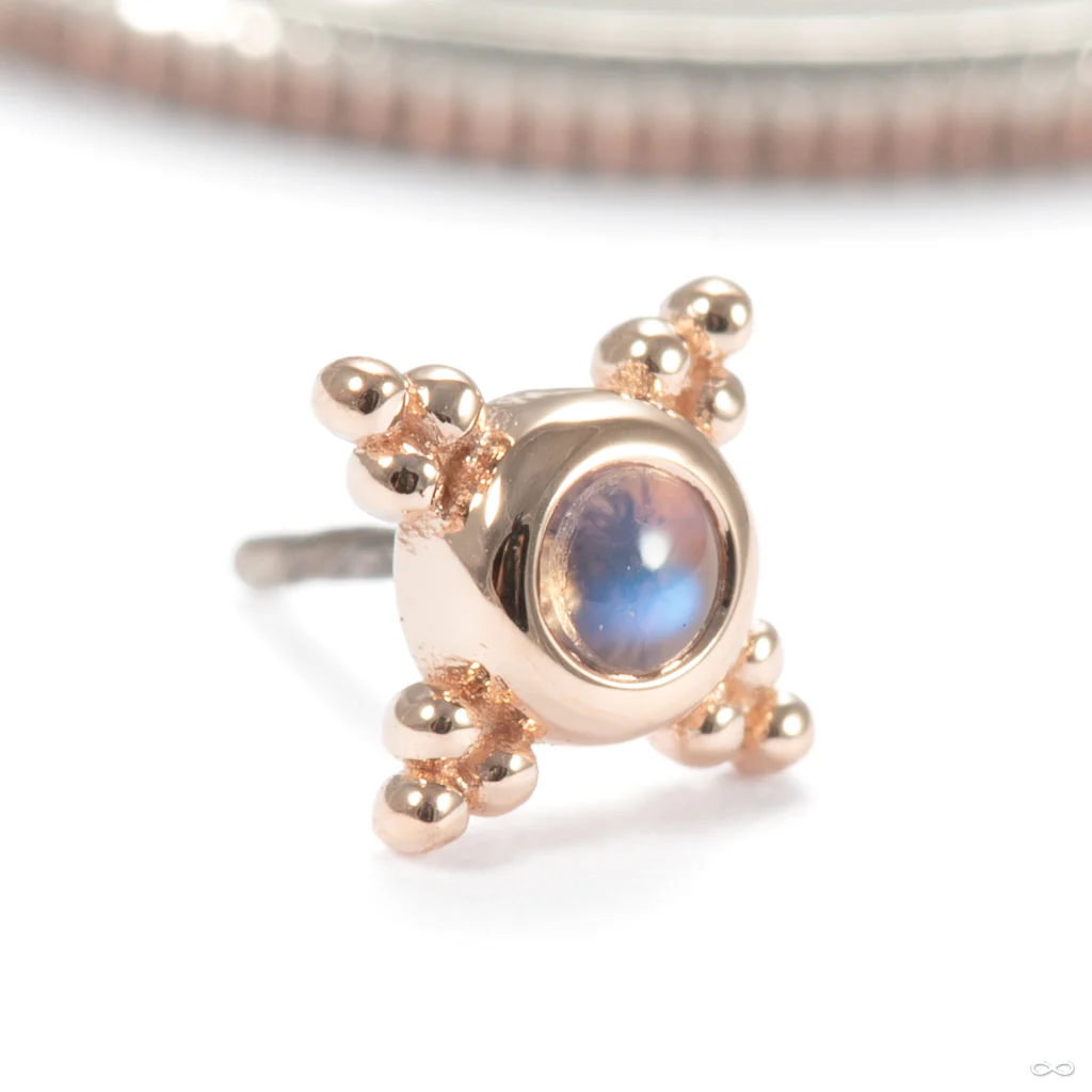 Mini Kandy Press-fit End in Gold from BVLA - Image 10