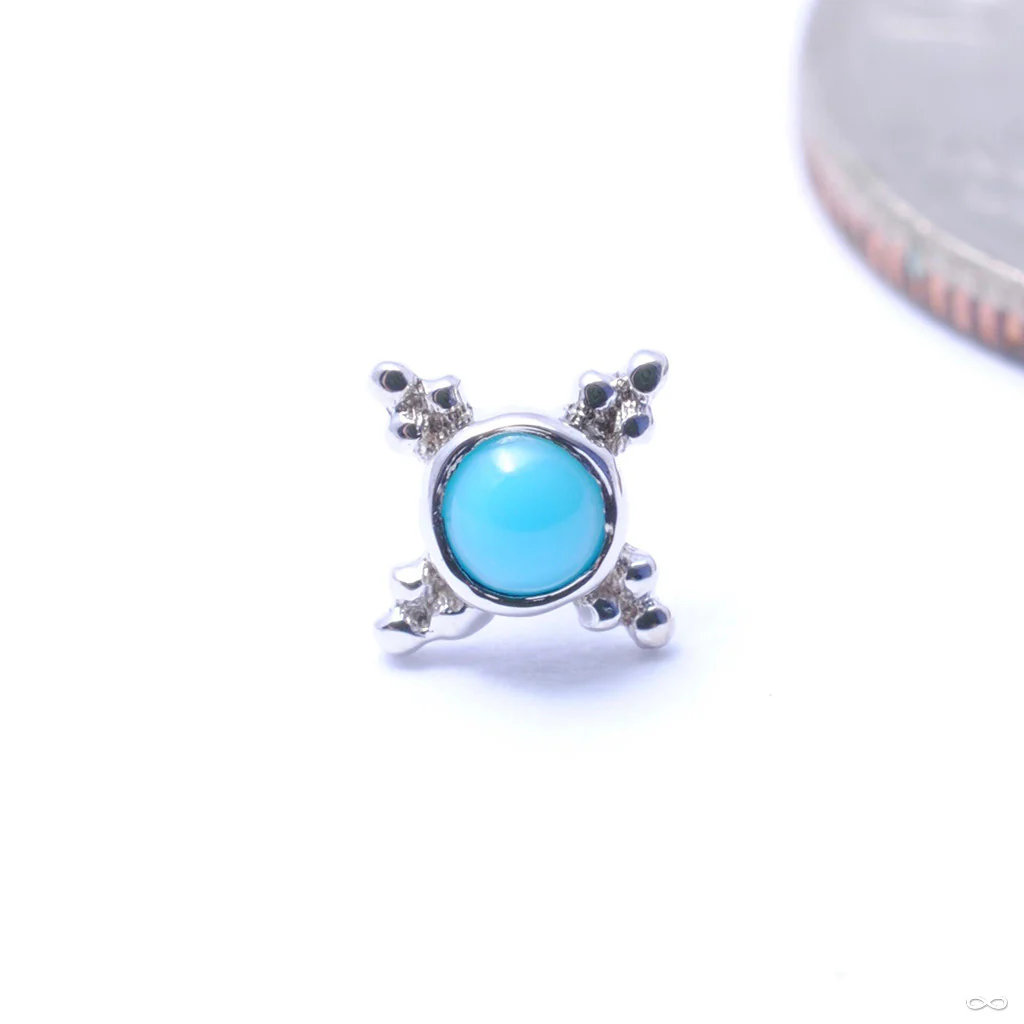 Mini Kandy Press-fit End in Gold from BVLA - Image 23