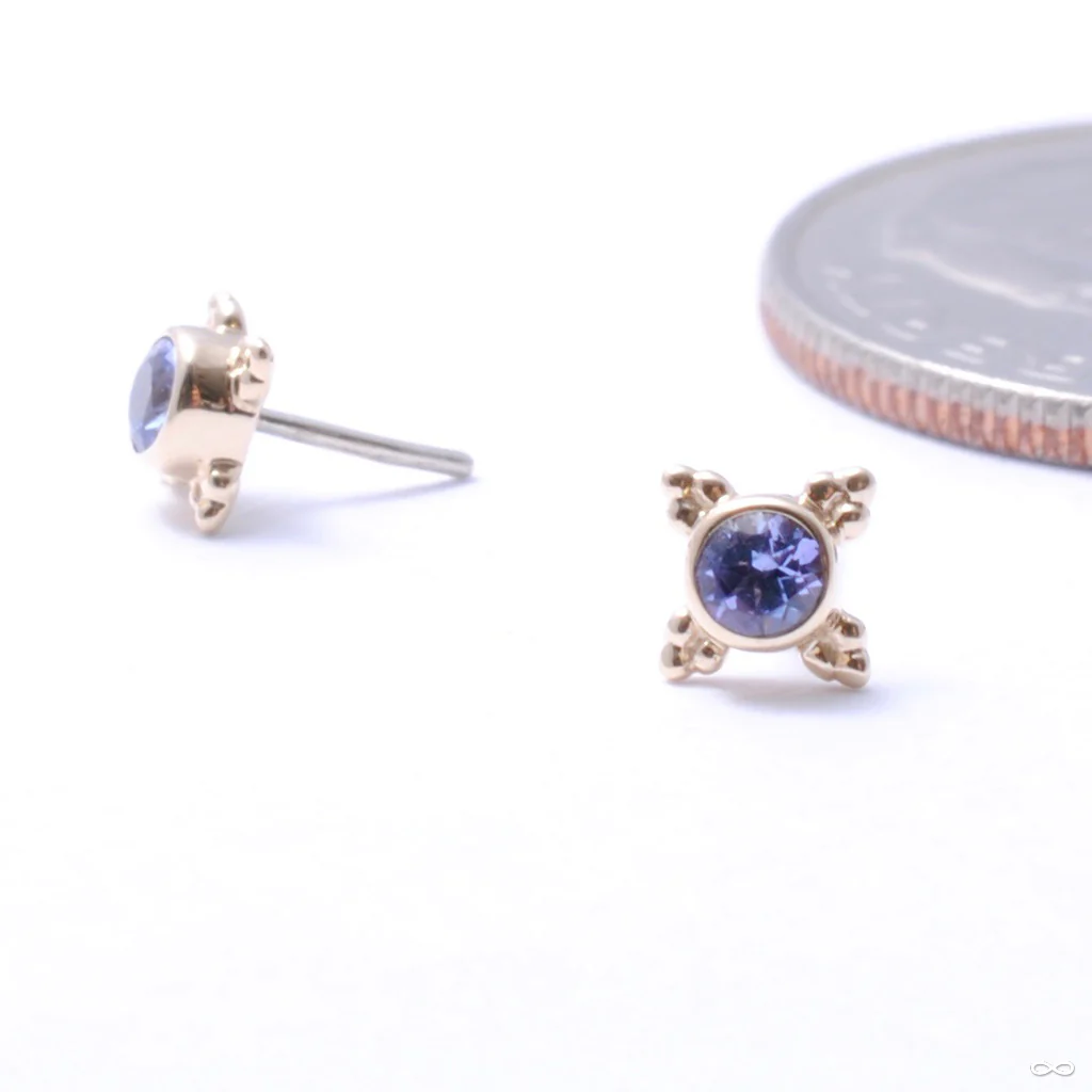 Mini Kandy Press-fit End in Gold from BVLA - Image 36