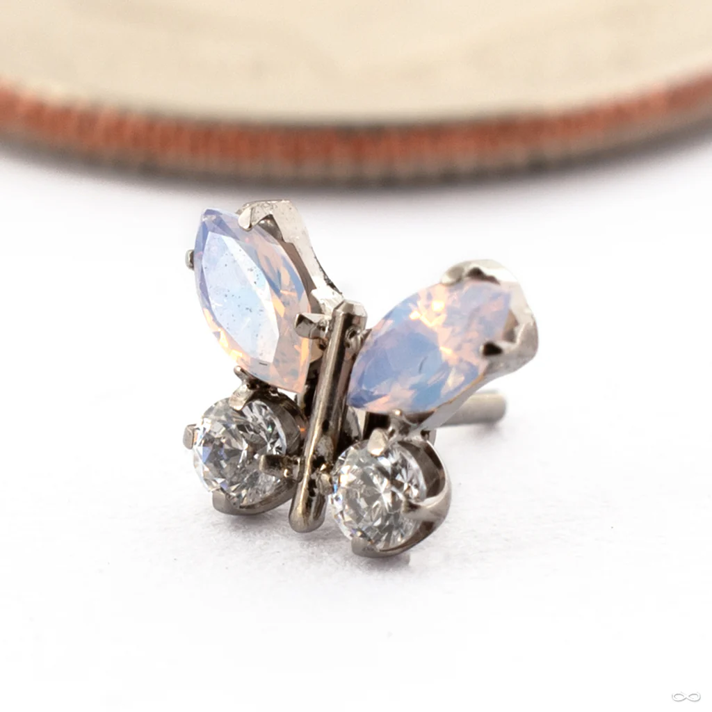 Mini Papillon Press-fit End in Titanium from Canasteel Jewelry - Image 5