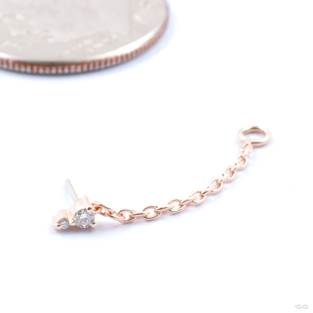 Mumble Mini Lasso Press-fit End in Gold from Pupil Hall - Image 2