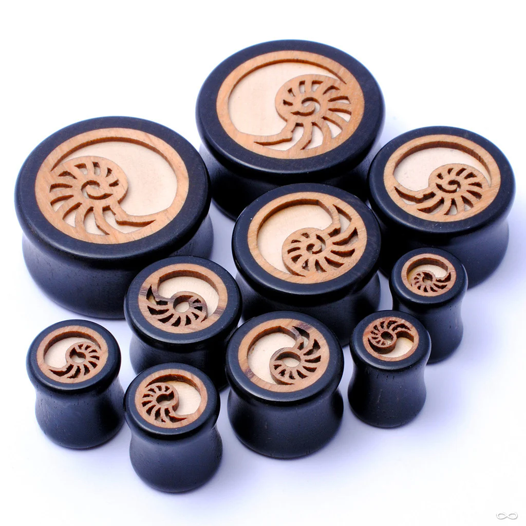 Nautilus Shell Plugs from Omerica Organic