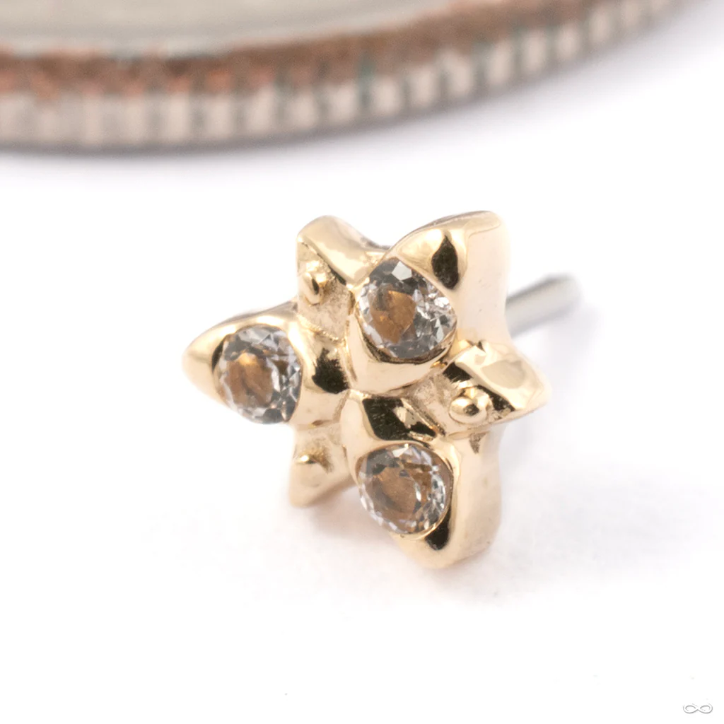 Neo Press-fit End in Gold from Tether Jewelry - Image 3