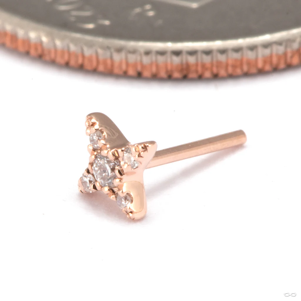 Nina Press-fit End in Gold from Modern Mood - Image 3