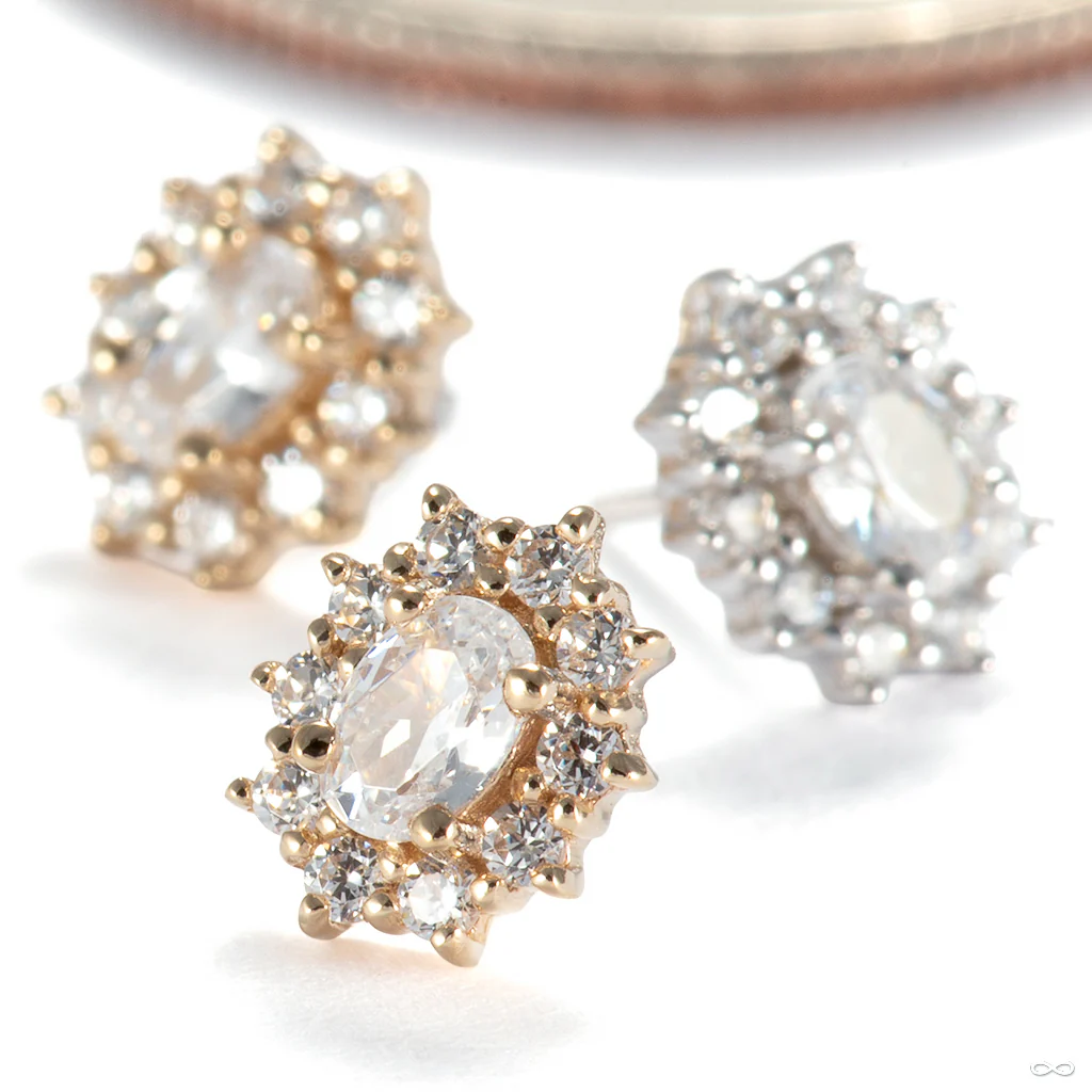 Oval Halo Press-fit End in Gold from Ember Body Jewelry