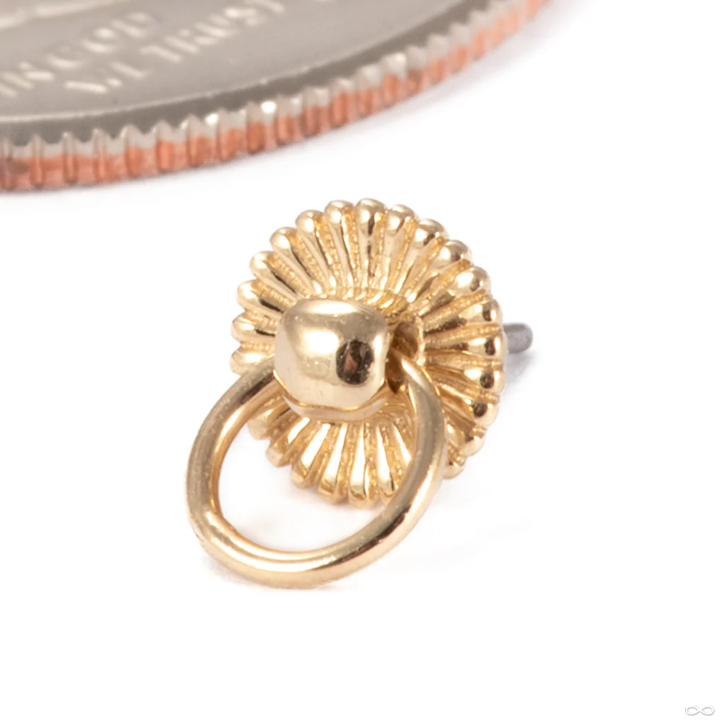 Peep Show Press-fit End in Gold from Tawapa - Image 2