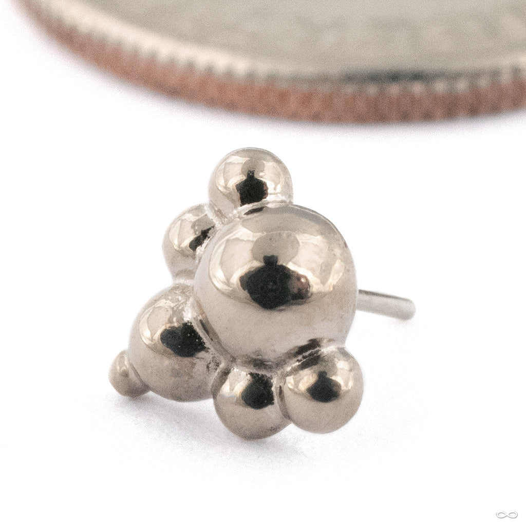 Perambula Press-fit End in Gold from Regalia - Image 2
