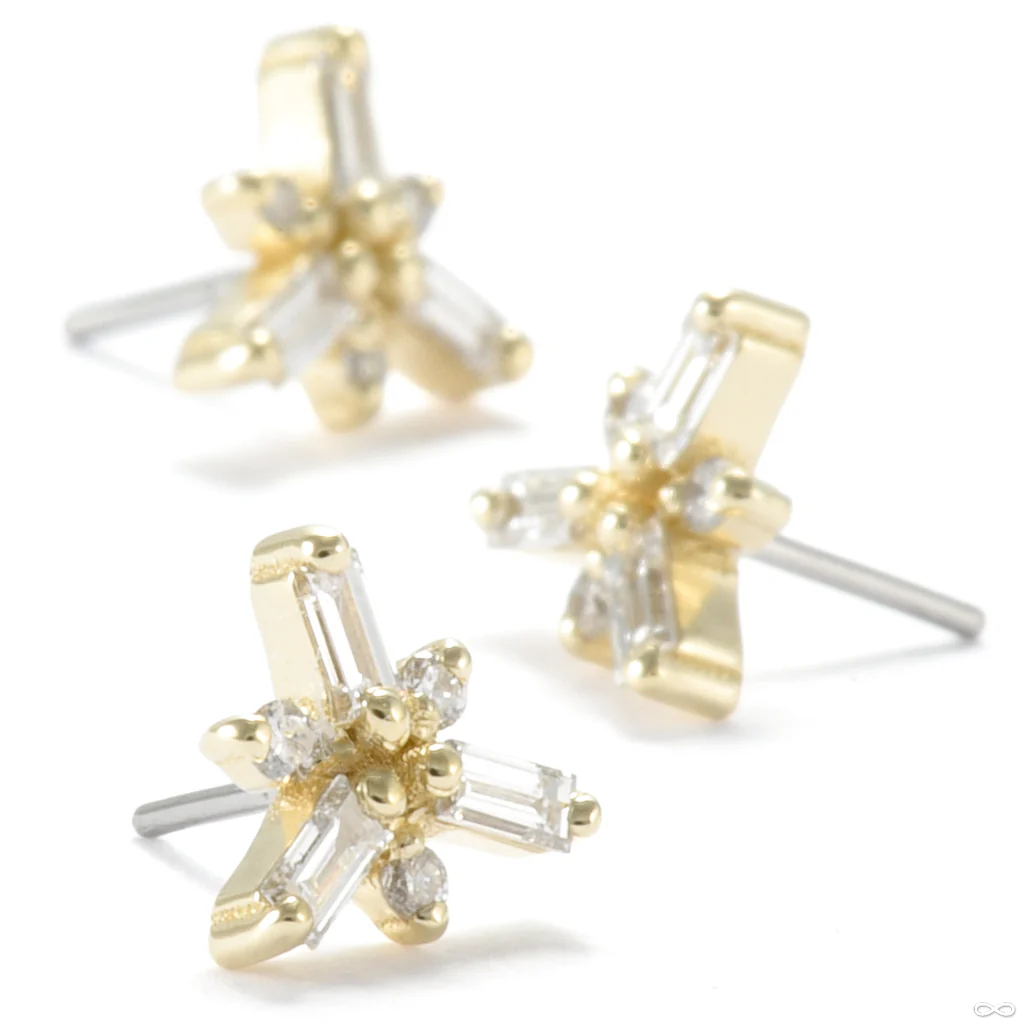 Phantom Press-fit End in Gold from Seasons Handmade