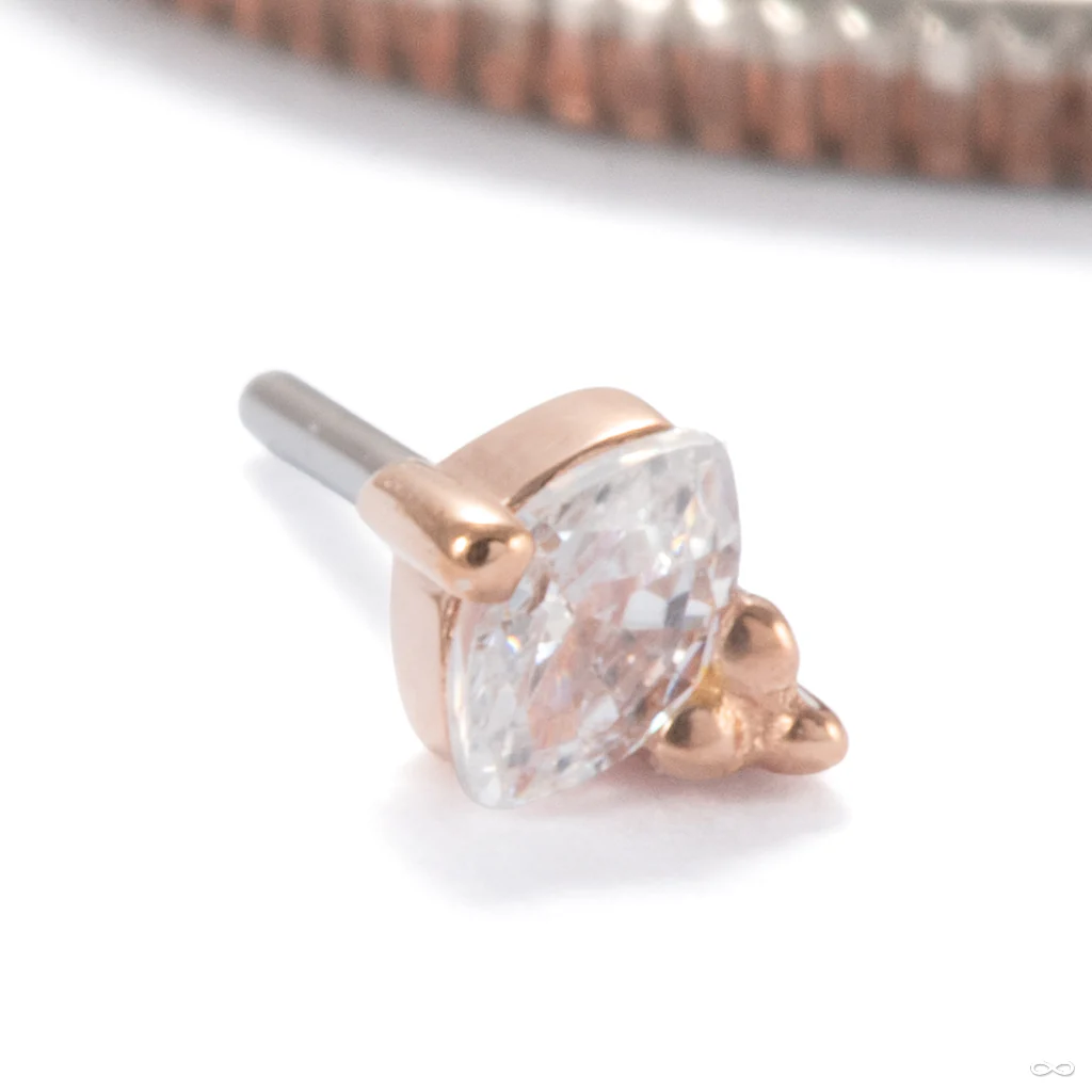 Poppy Press-fit End in Gold from Ember Body Jewelry - Image 2