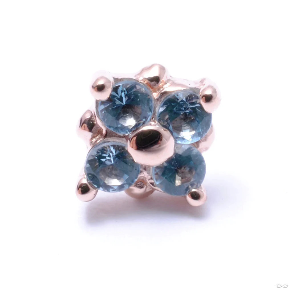 Reema Press-fit End in Gold from BVLA - Image 2