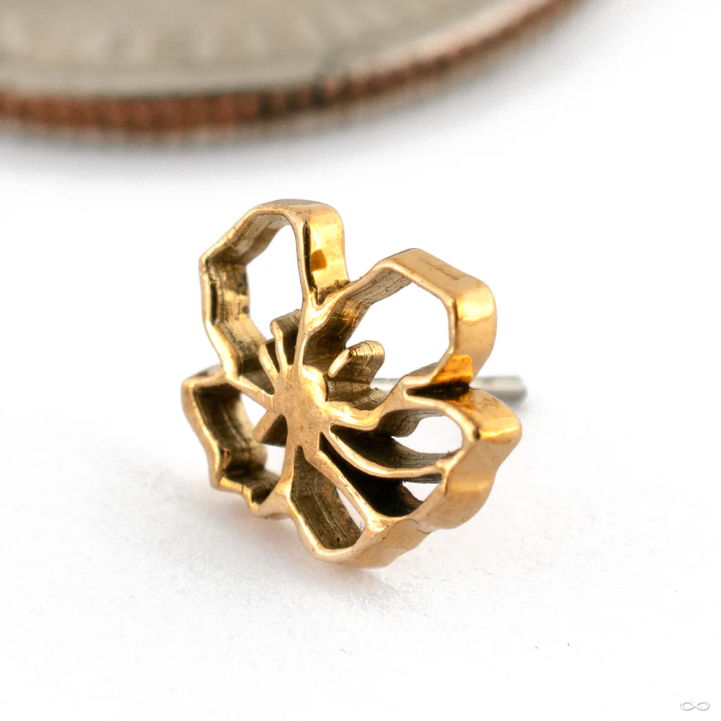 Remain Open Press-fit End in Gold from Maya Jewelry