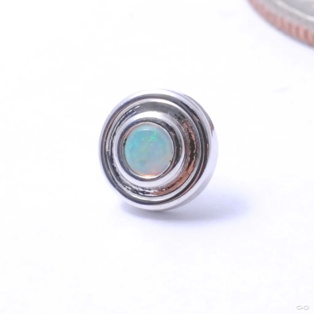Round Illusion Press-fit End in Gold from BVLA - Image 6