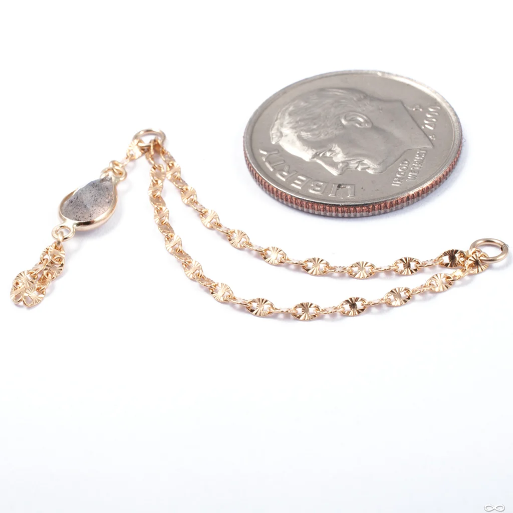 Sadity Chain in Gold from Hialeah - Image 2