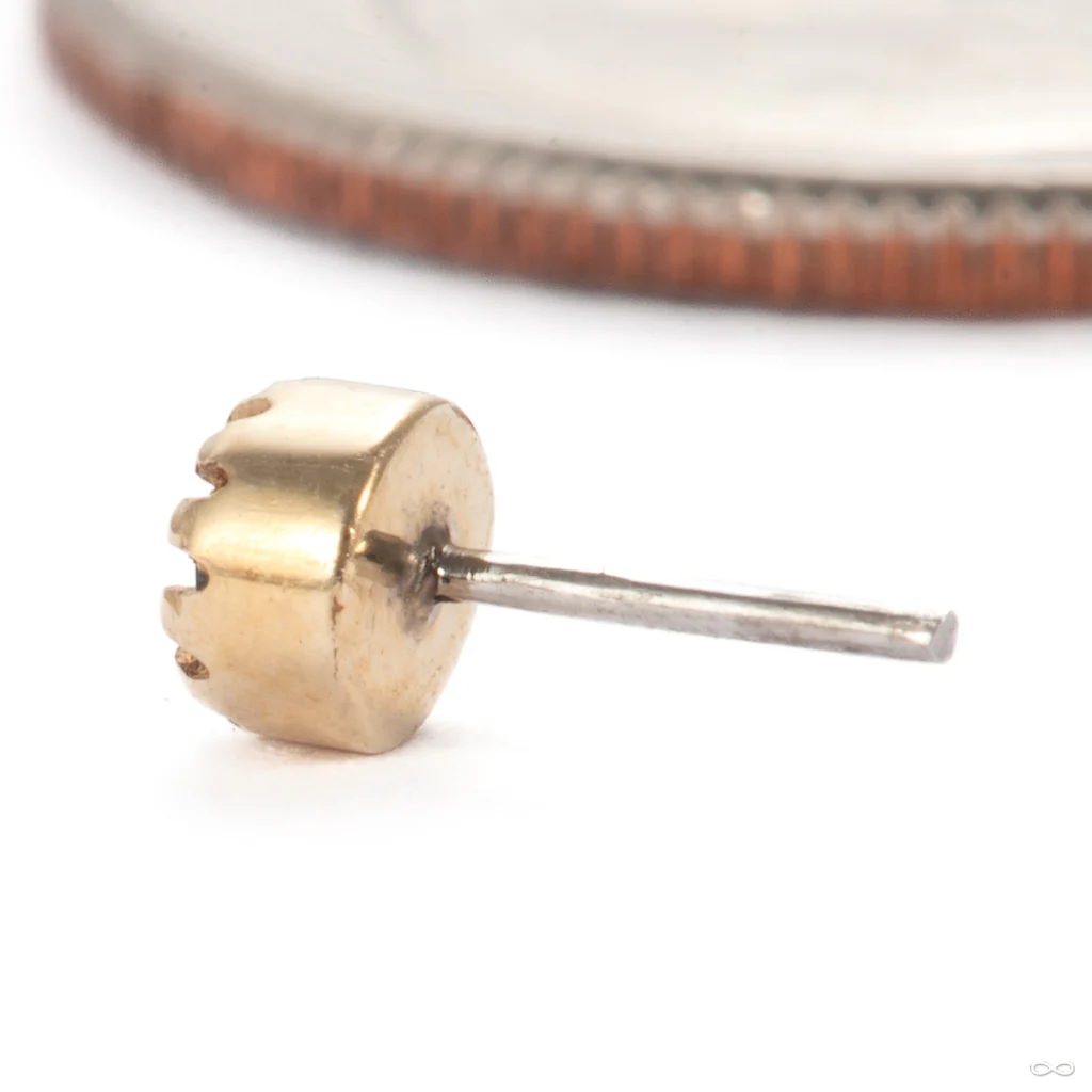 Scalloped Press-fit End in Gold from Tawapa - Image 2