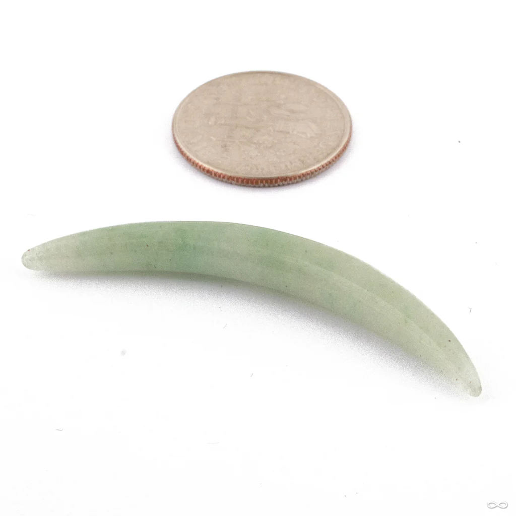 Septum Tusk in Stone from Oracle