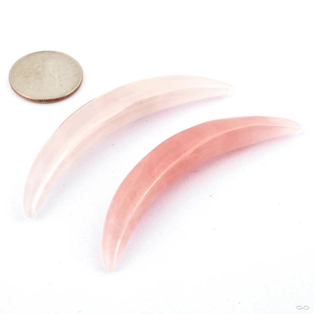 Septum Tusk in Stone from Oracle - Image 5
