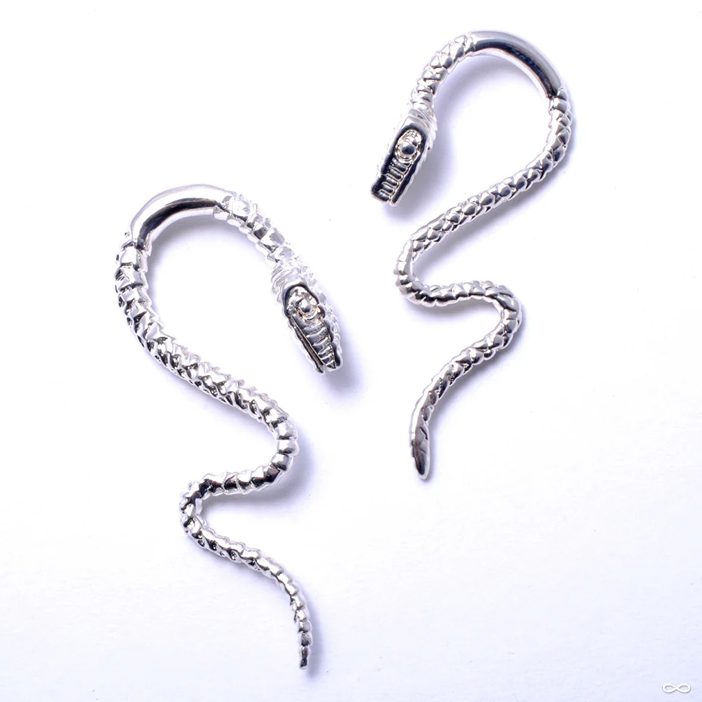 Snakes from Tawapa - Image 6