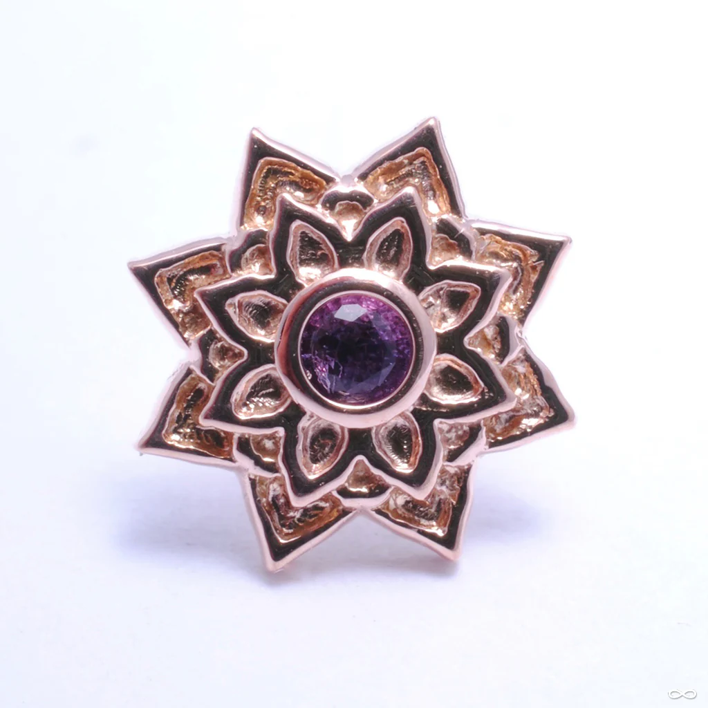 Sol Press-fit End in Gold from BVLA - Image 8