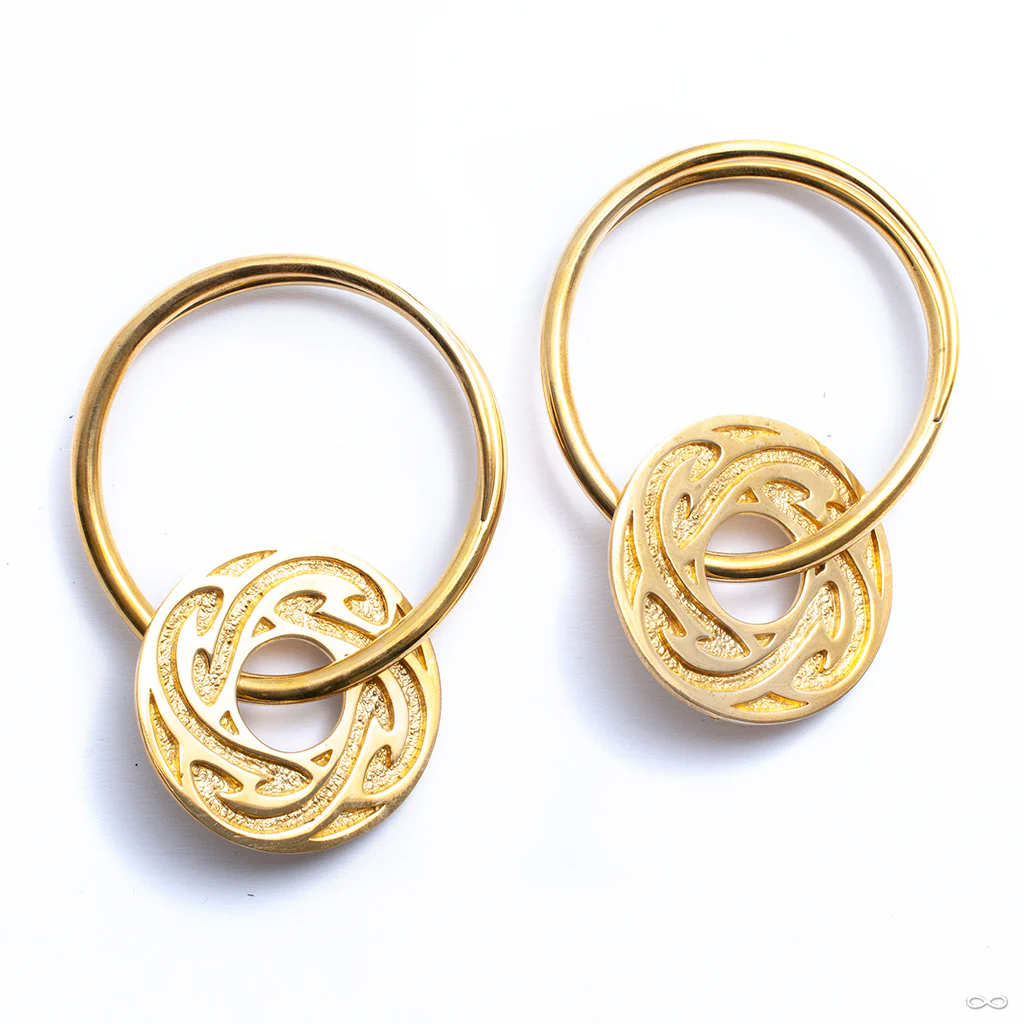 Solar Hoops from Diablo Organics