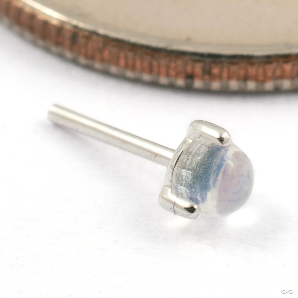 Solitaire Press-fit End in Gold from Modern Mood - Image 3