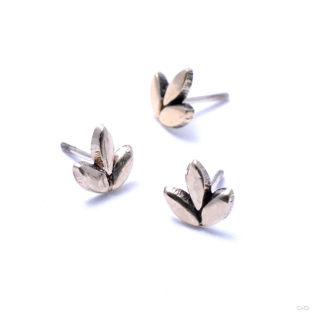 Sprout Press-fit End in Gold from Maya Jewelry - Image 3