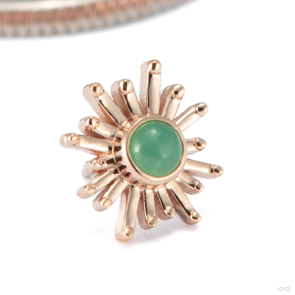 Sun Ray Press-fit End in Gold from BVLA - Image 2
