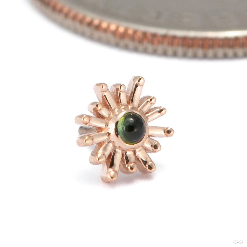 Sun Ray Press-fit End in Gold from BVLA - Image 3