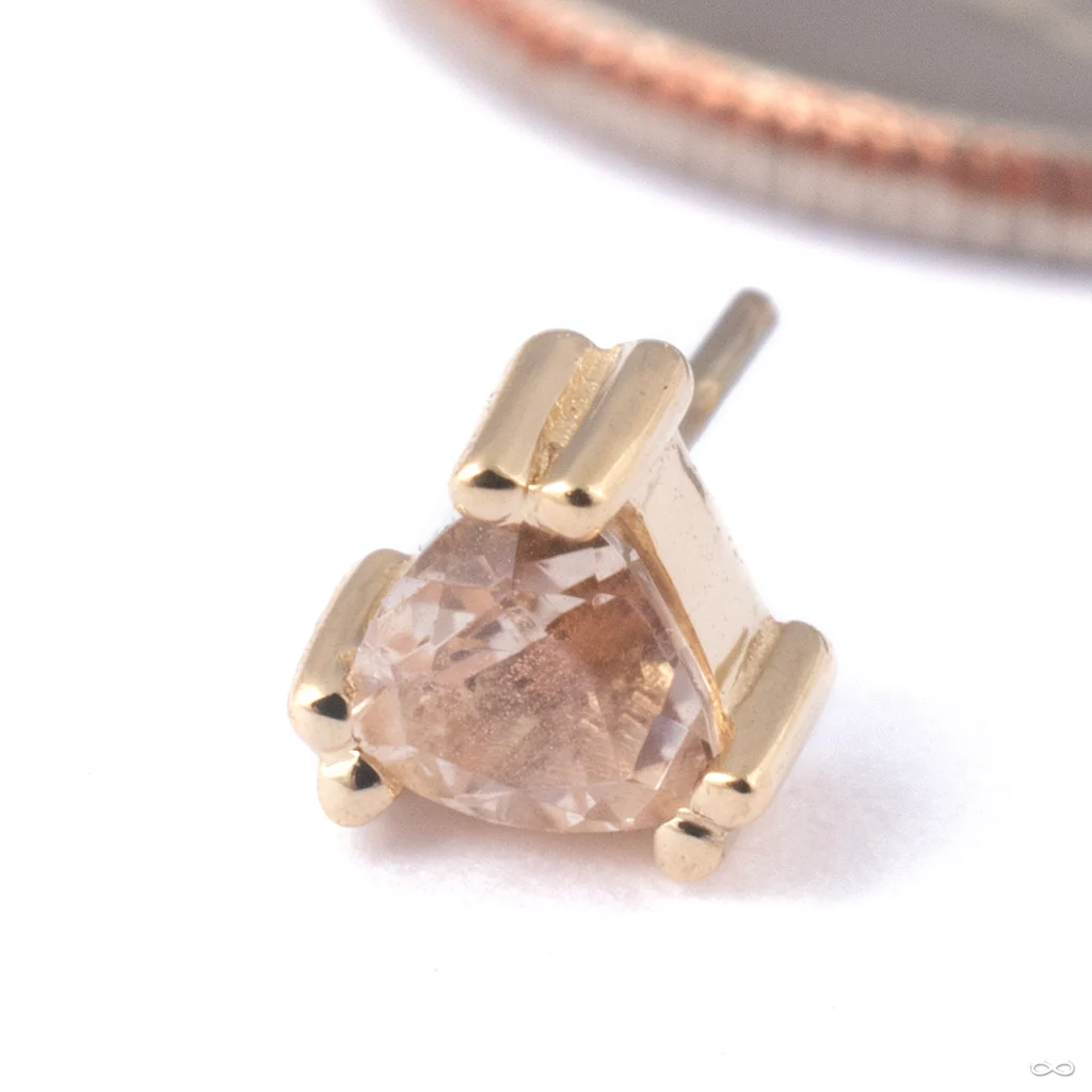Tanti Press-fit End in Gold from BVLA - Image 6