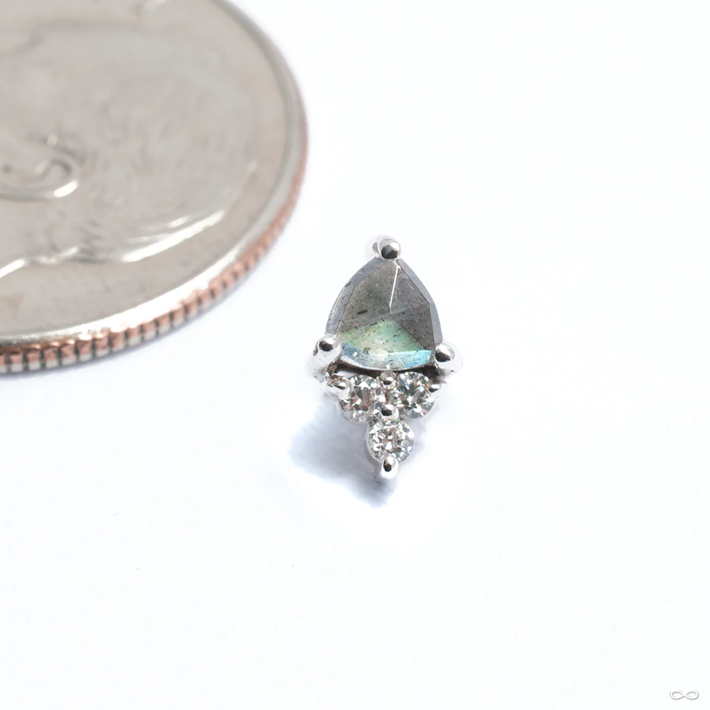 Tau Threaded End in Gold from BVLA - Image 2