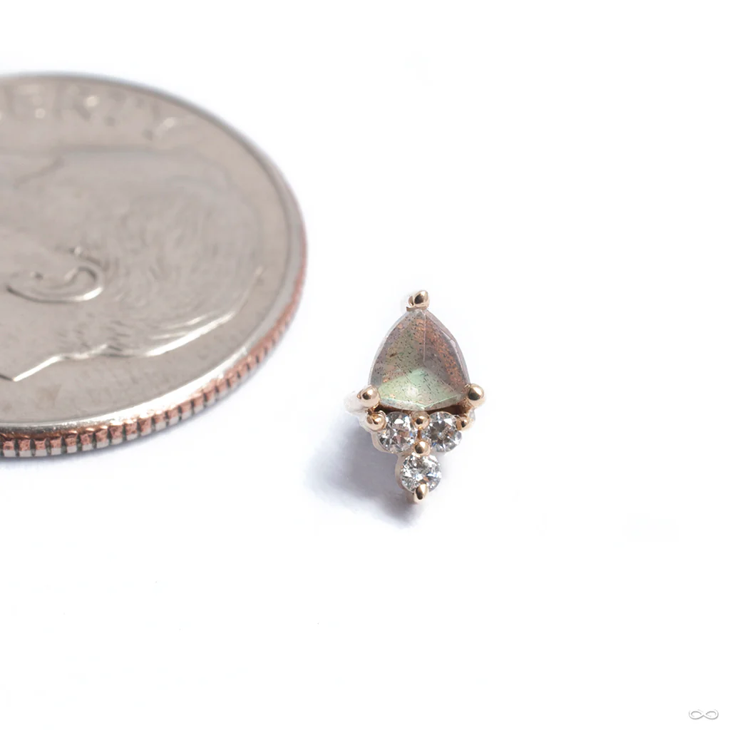 Tau Threaded End in Gold from BVLA - Image 4