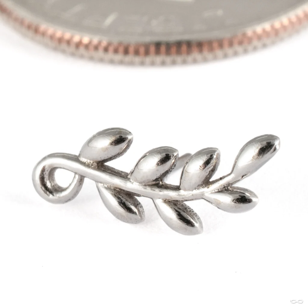 Tendril Press-fit End in Gold from Tawapa - Image 2