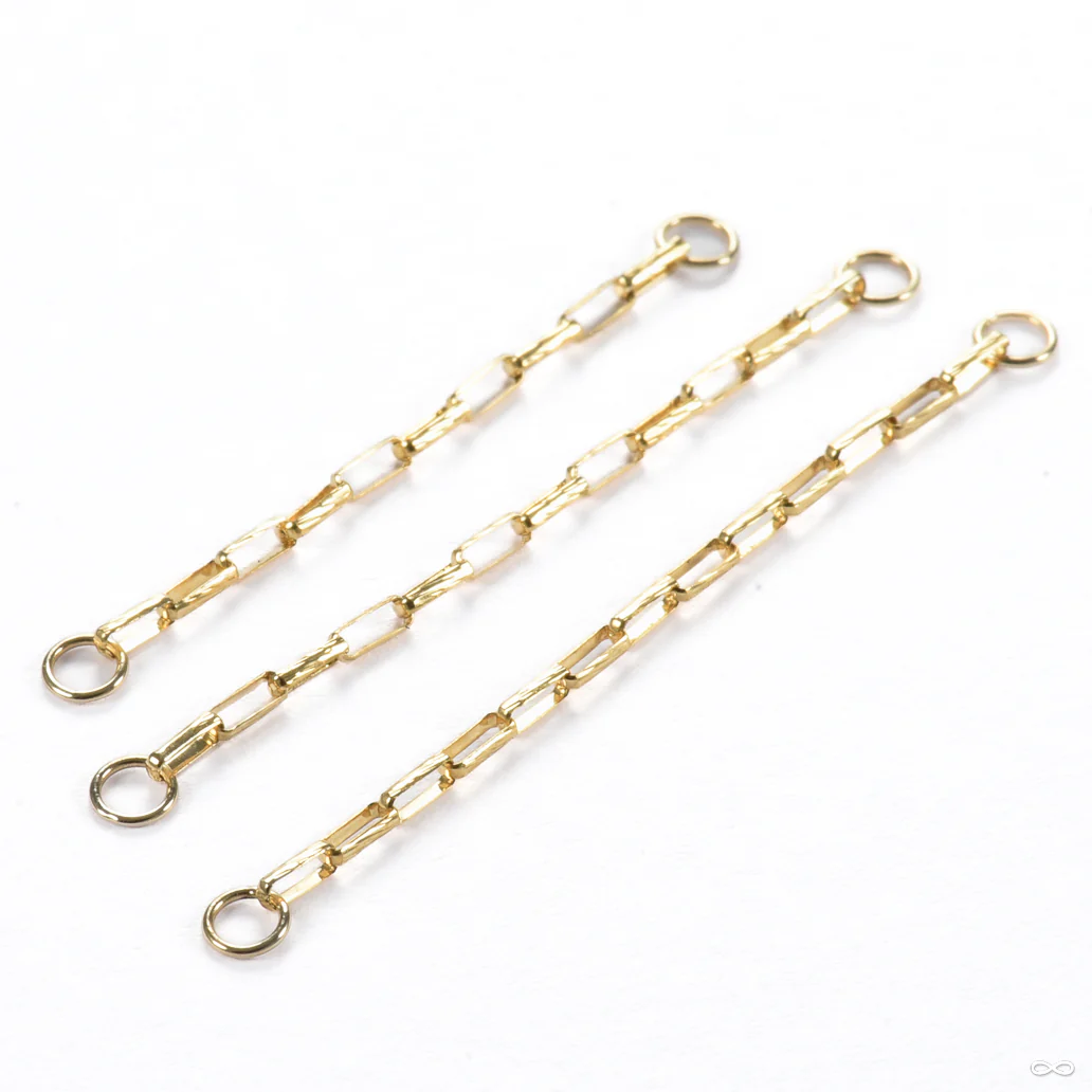 Textured Paper Clip Chain in Gold from Hialeah