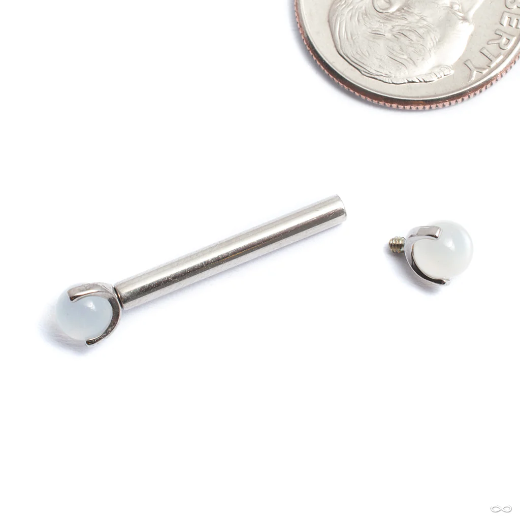 Three Prong Natural Stone Threaded End in Titanium from Anatometal - Image 5