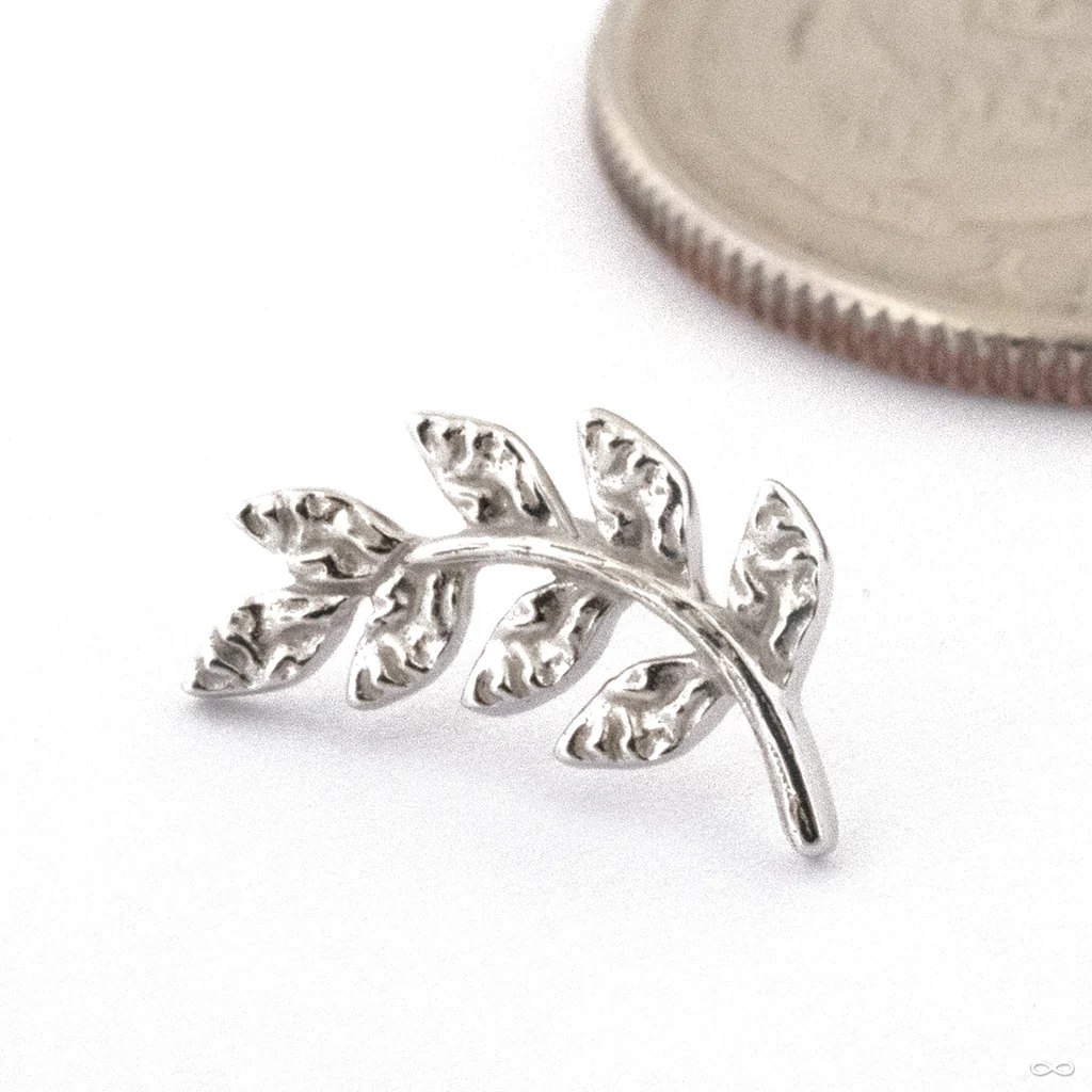 Thriving Press-fit End in Gold from Buddha Jewelry - Image 3