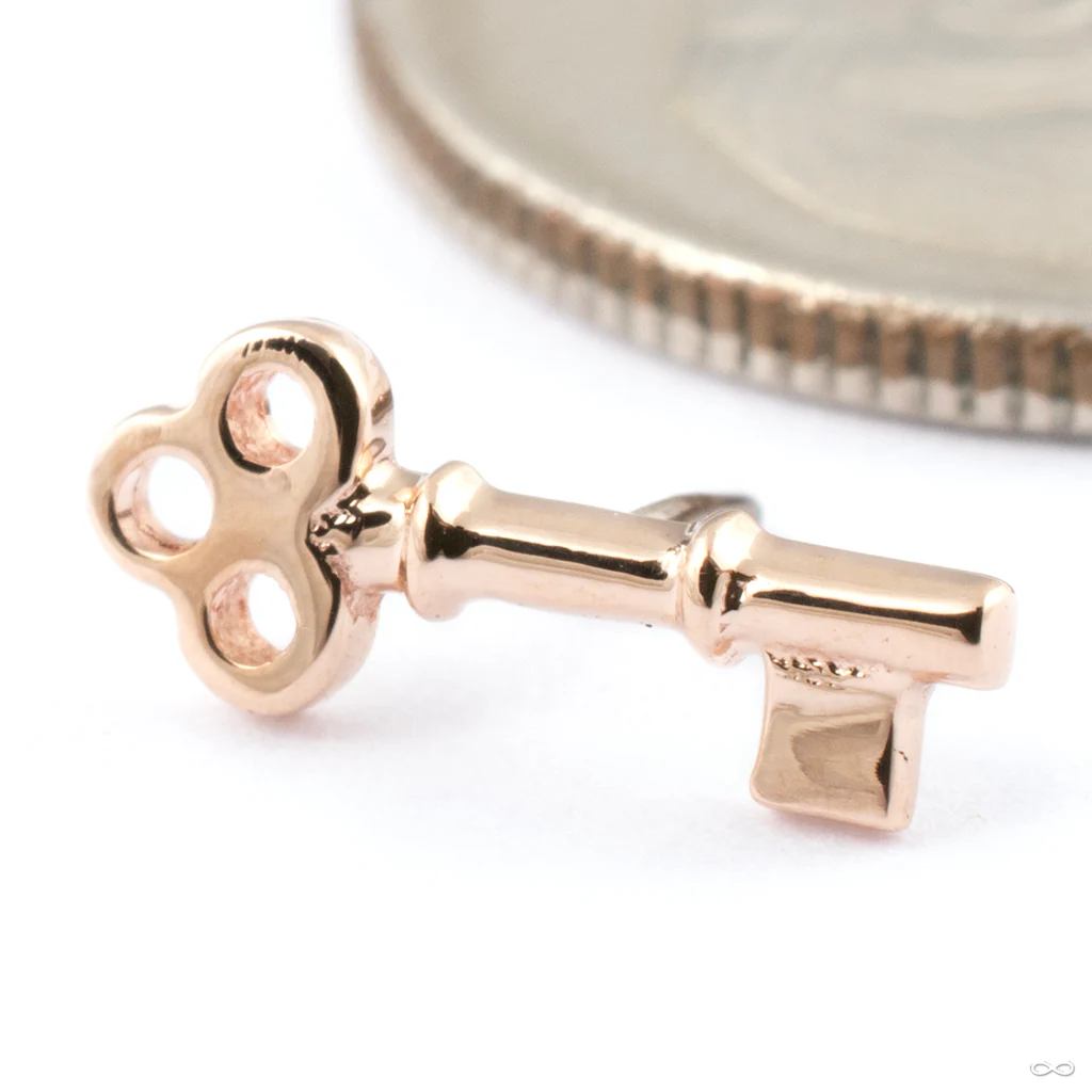 Tiny Key Press-fit End in Gold from BVLA - Image 2