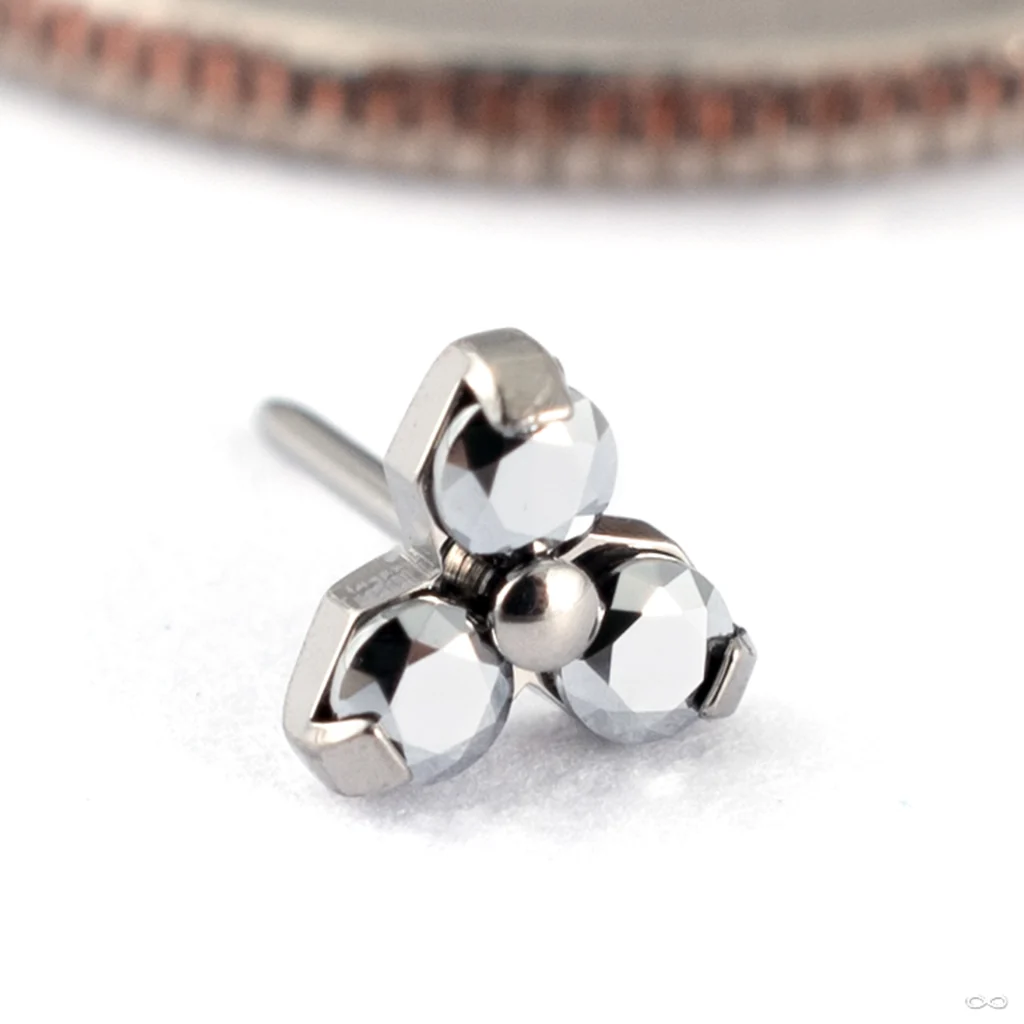 Trinity Press-fit End in Titanium from NeoMetal - Image 7