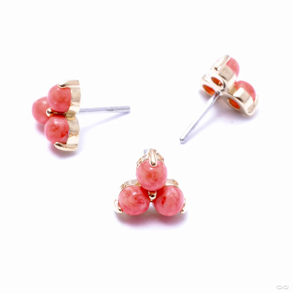 Trio Press-fit End in Gold from Anatometal - Image 10