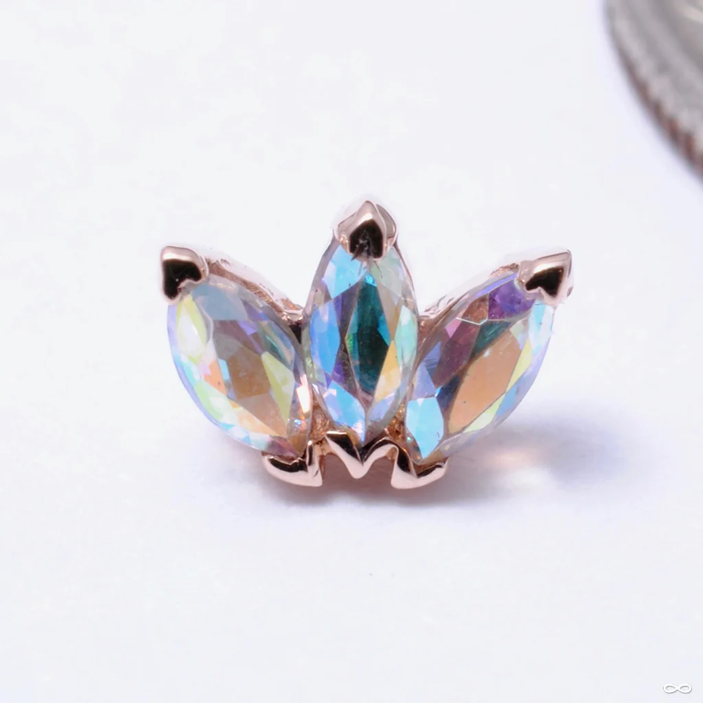 Triple Marquise Fan Press-fit End in Gold from BVLA - Image 3