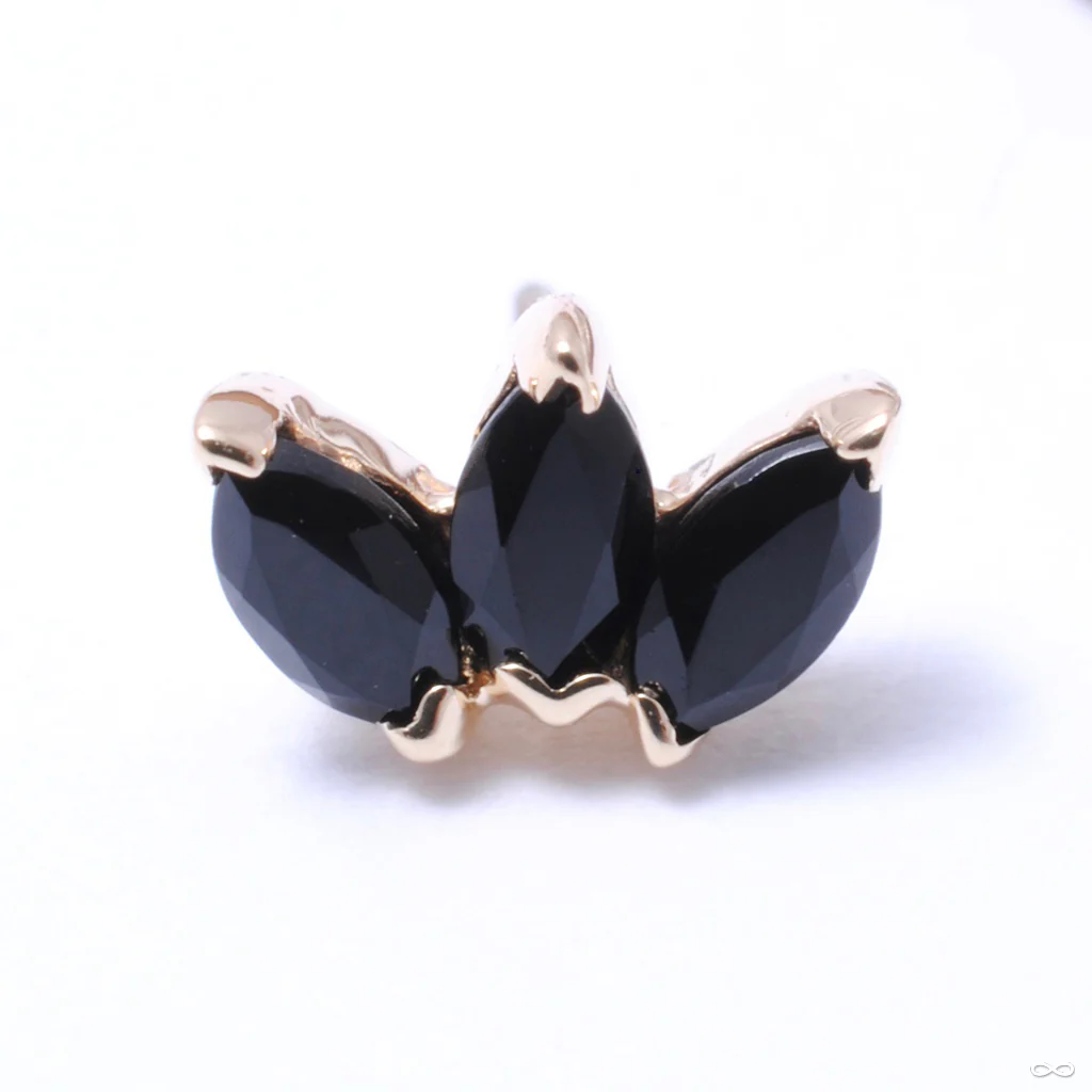 Triple Marquise Fan Press-fit End in Gold from BVLA - Image 5