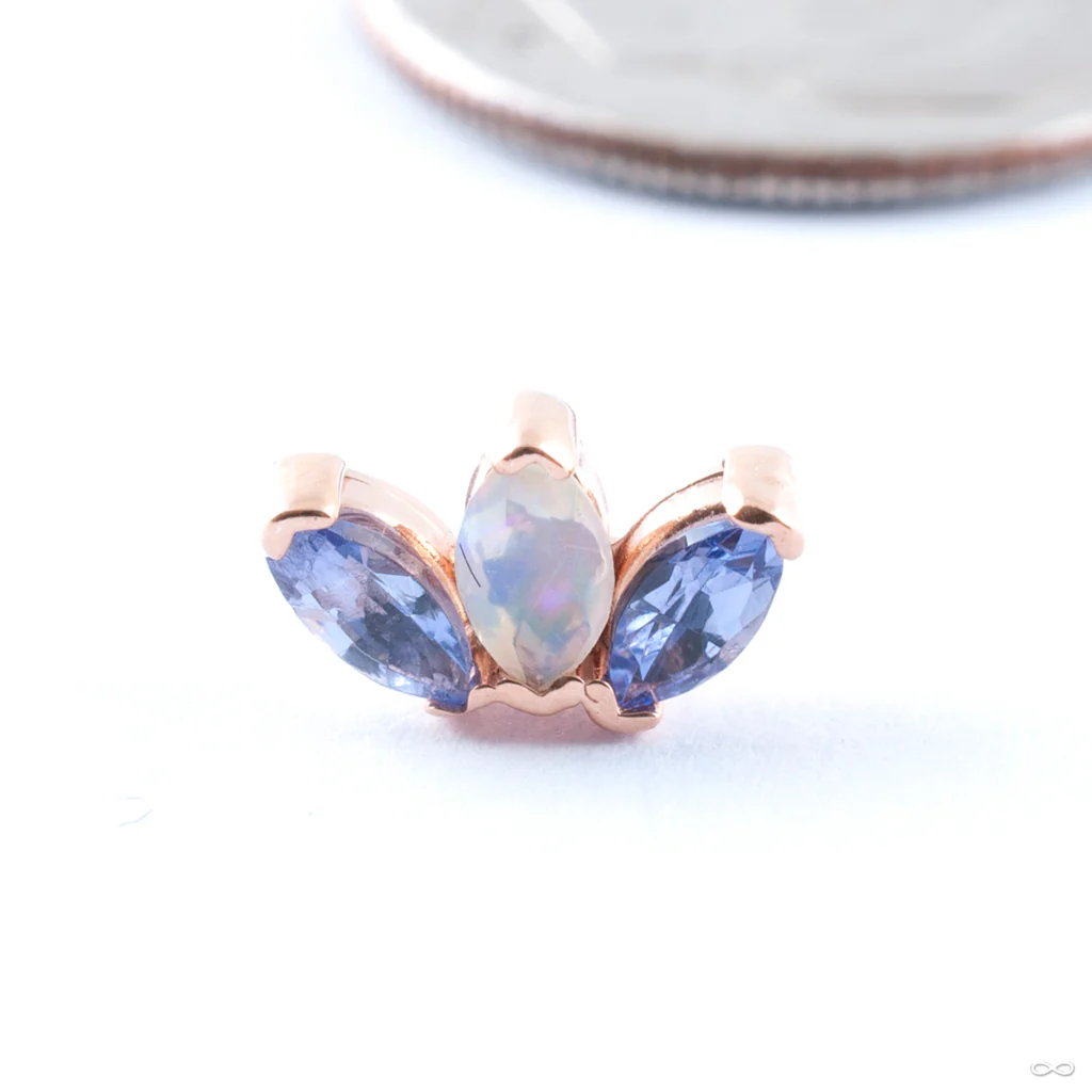 Triple Marquise Press-fit End in Gold from Quetzalli - Image 4