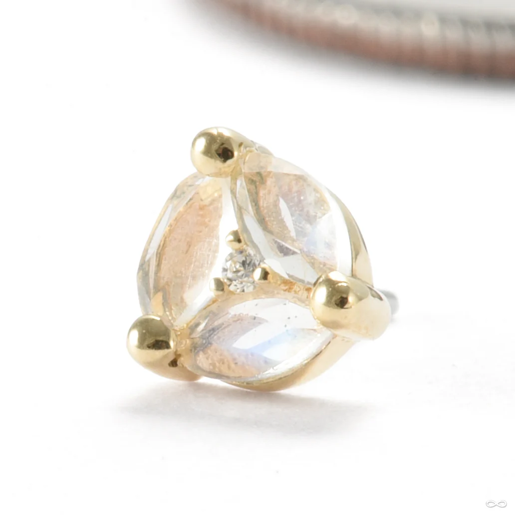 Triple Threat Press-fit End in Gold from Ember Body Jewelry - Image 9